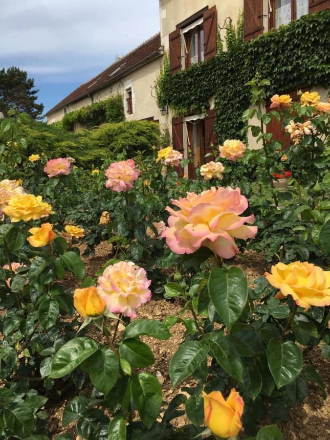 Entre Canal Et Vignes Bed & Breakfast Escolives-Sainte-Camille Luaran gambar